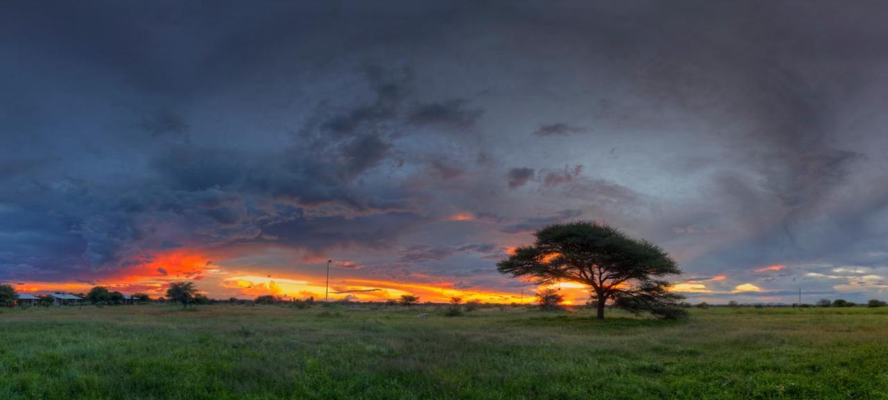 Khoi-Khoi Guesthouse Otavi Экстерьер фото